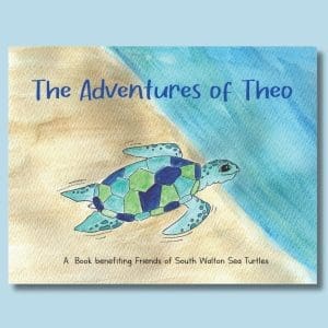 the adventures of theo, kids book, online store, cute turtle, baby sea turtle, theo,