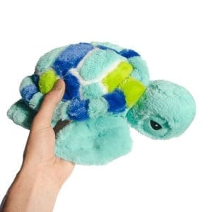 sea turtle, plush toys, online store, cute turtle, baby sea turtle, theo,