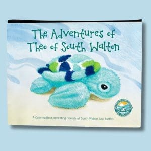 the adventures of theo, kids coloring book, online store, cute turtle, baby sea turtle, theo, 30A Florida,