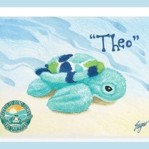 Clint Egar, Theo, Sea Turtle awareness, charity, Friends of South Walton Sea Turtles, buy online,